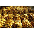 New Crop China Fresh Ginger/Air Dried Ginger of 250g Plus